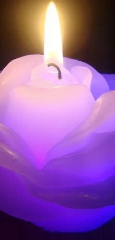 A glowing rose-shaped candle emitting a purple light.