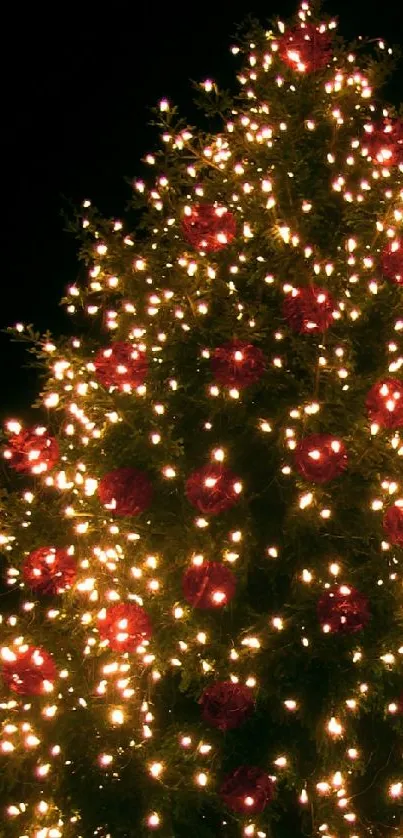 A Christmas tree adorned with glowing festive lights.