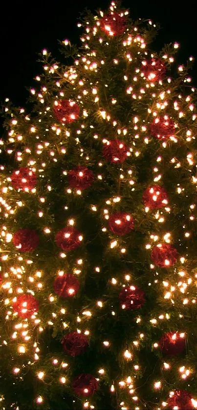 Festive Christmas tree with glowing lights and red ornaments at night.