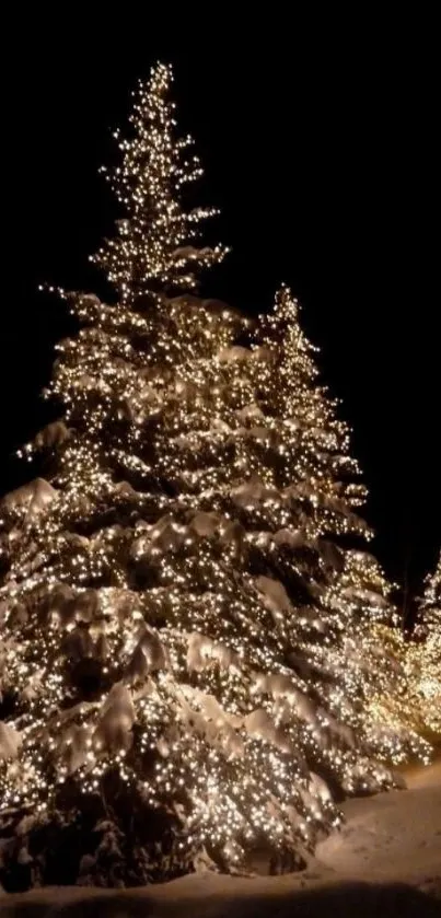 Glowing Christmas tree with holiday lights against a snowy, dark winter background.