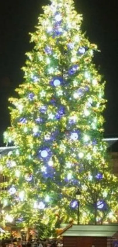 Illuminated Christmas tree with festive lights at night.