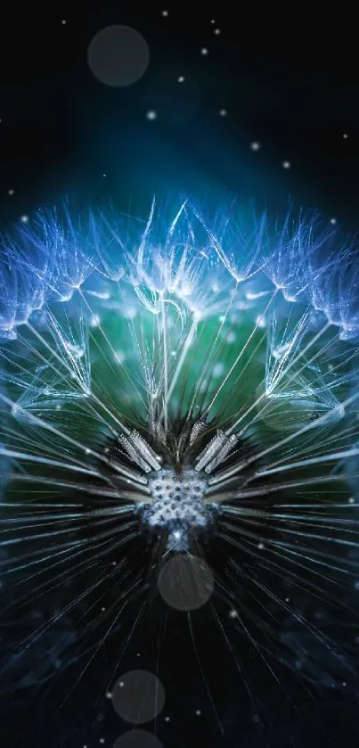 Glowing blue dandelion abstract wallpaper with vibrant colors.