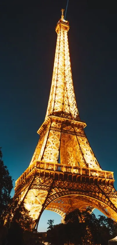 Glowing Eiffel Tower at night with a dark sky background.