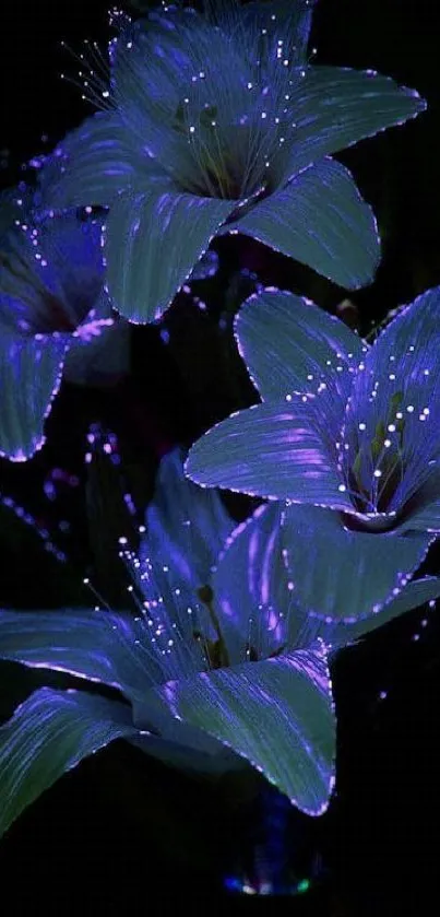 Glowing purple flowers on dark background wallpaper.