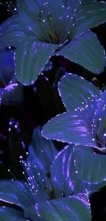 Glowing flowers against a deep, dark background.