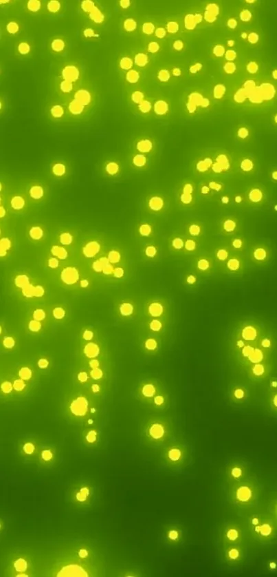 Glowing green abstract wallpaper with light dots.