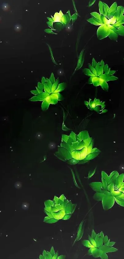 Glowing green flowers on black background, vibrant and eye-catching design.