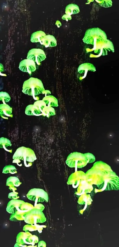 Mobile wallpaper of glowing green mushrooms on a dark forest tree.