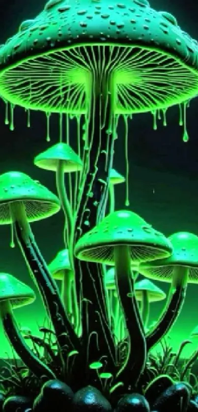 Glowing green mushrooms in dark background.