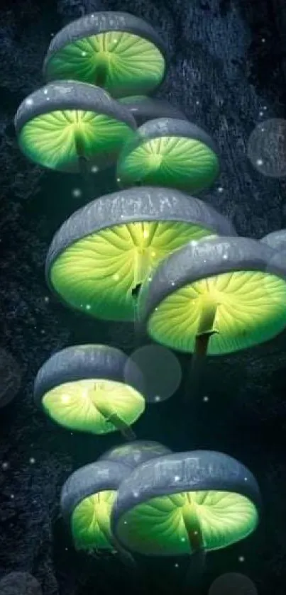 Glowing green mushrooms with a dark, textured background.