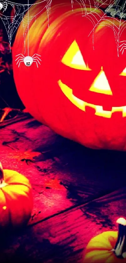 Glowing Halloween pumpkin with spiders and webs.