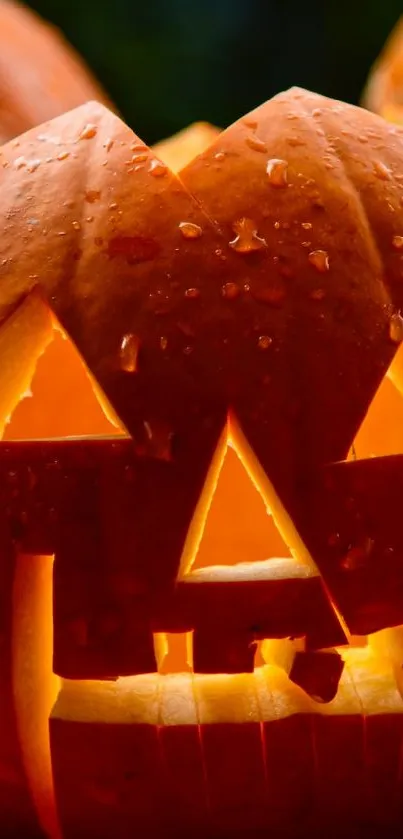 Glowing Jack-o'-lantern amid pumpkins, perfect for Halloween.