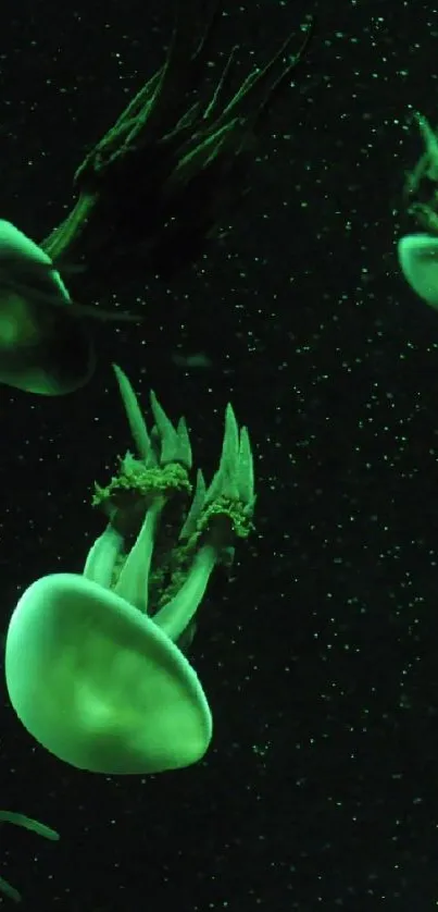 Glowing dark green jellyfish in deep ocean scene.