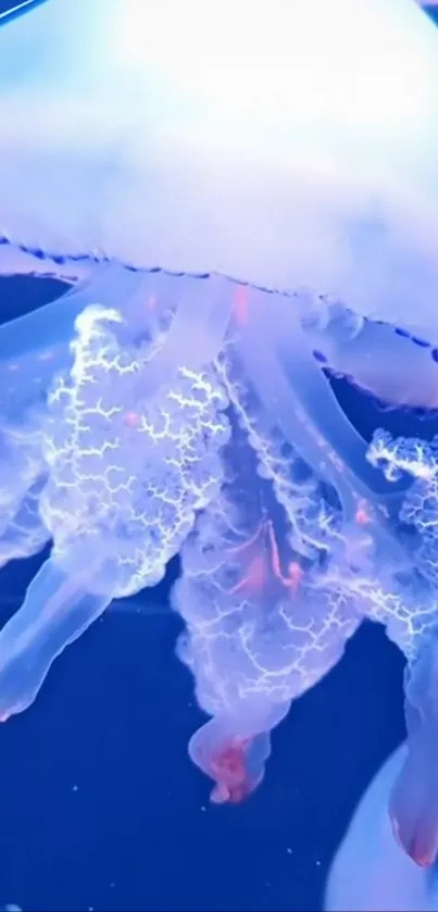 Glowing jellyfish in a vibrant blue ocean setting.