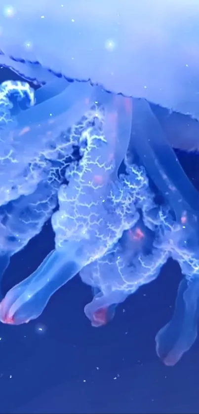 Close-up of a glowing jellyfish in a blue ocean background.