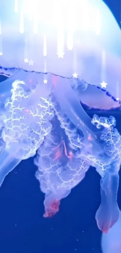 Glowing jellyfish against a deep blue ocean background.