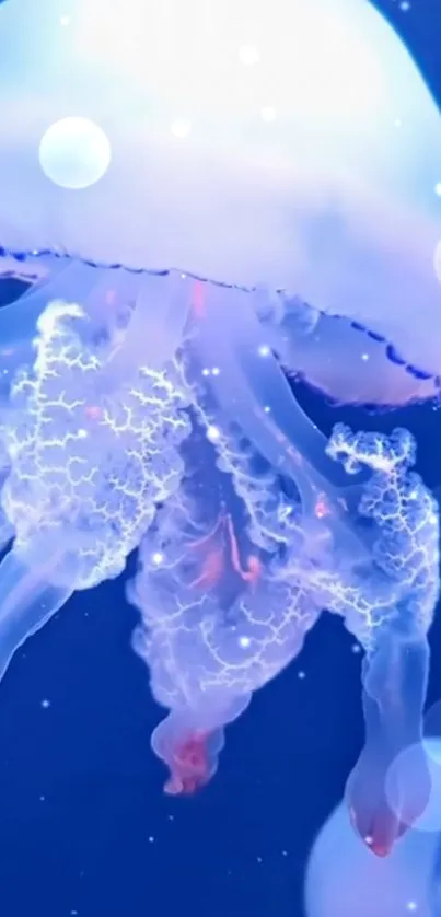 Beautiful glowing jellyfish against a deep blue ocean background.