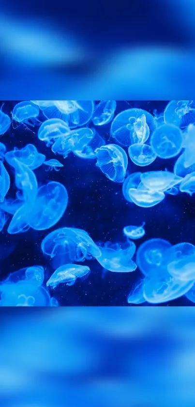 Mesmerizing blue jellyfish swimming in the ocean depths, creating a glowing effect.