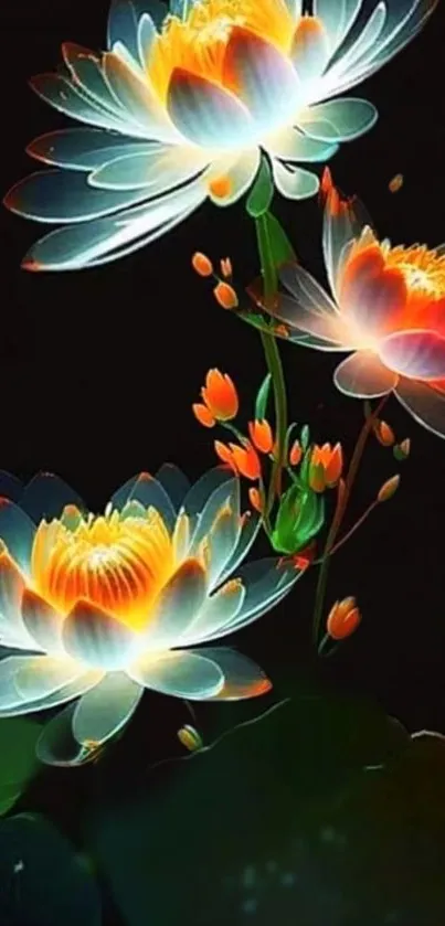 Glowing lotus flowers on a dark background.