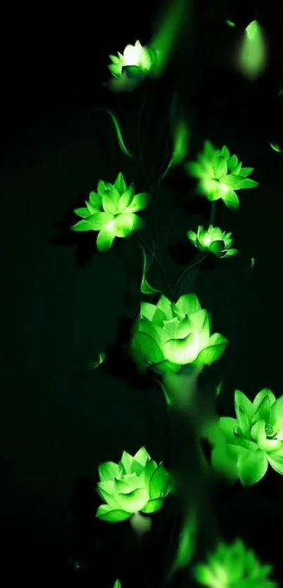 Green lotus flowers glowing in darkness.