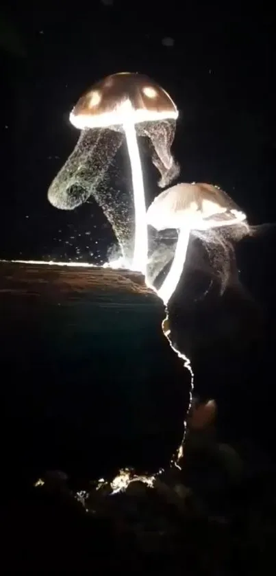 Glowing mushrooms on a dark background, illuminating the night.