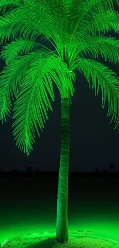 A neon green palm tree glowing at night.