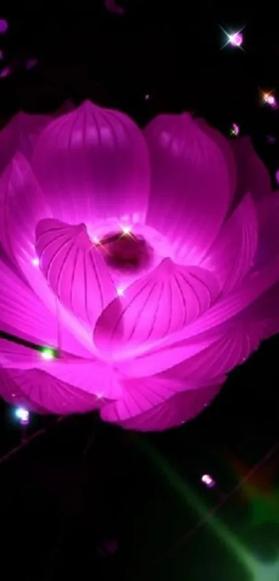 Glowing pink lotus flower in vibrant hues on dark background.