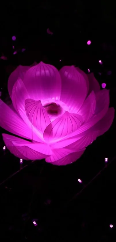 A radiant pink lotus with glowing petals against a dark background.