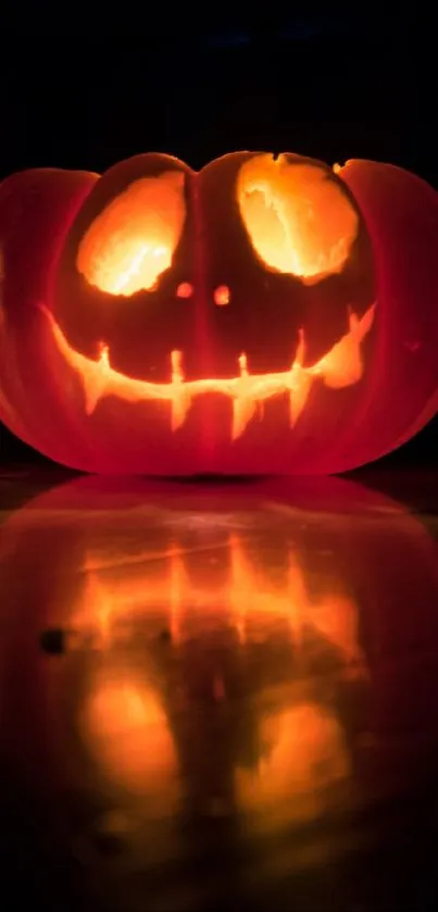 Spooky glowing pumpkin with reflection in dark setting.