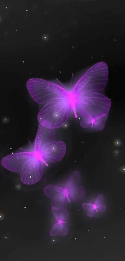 Glowing purple butterflies on a dark background wallpaper.