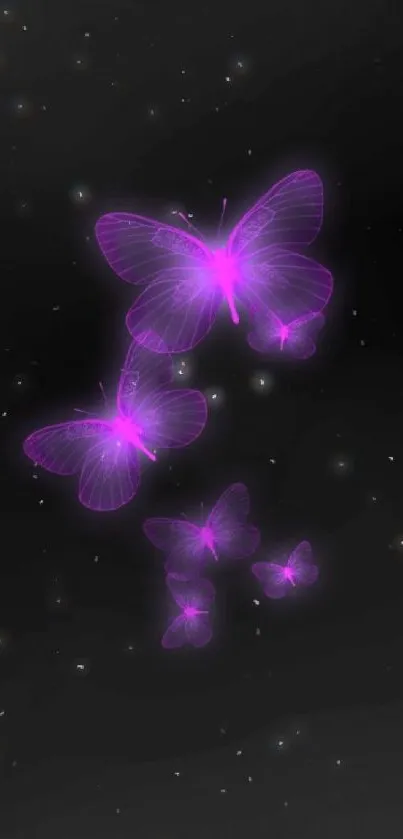 Glowing purple butterflies on a black background, creating a serene effect.