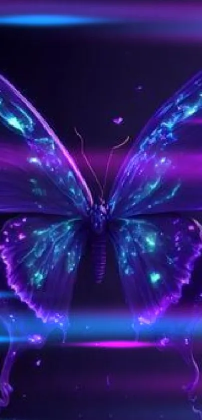 Glowing purple butterfly on a dark background wallpaper.