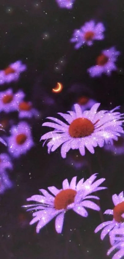 Glowing purple daisies against a dark night sky with a crescent moon.