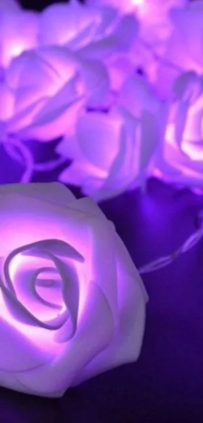 Mobile wallpaper with glowing purple roses creating a serene ambiance.