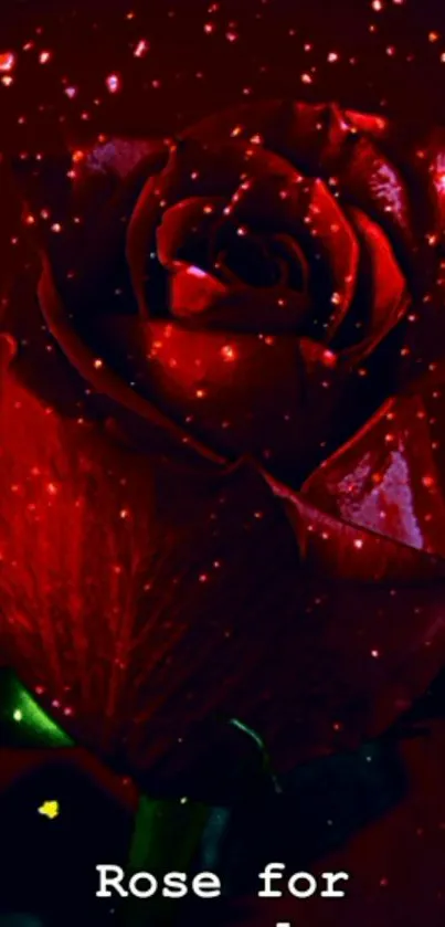 Stunning glowing red rose with subtle sparkles.