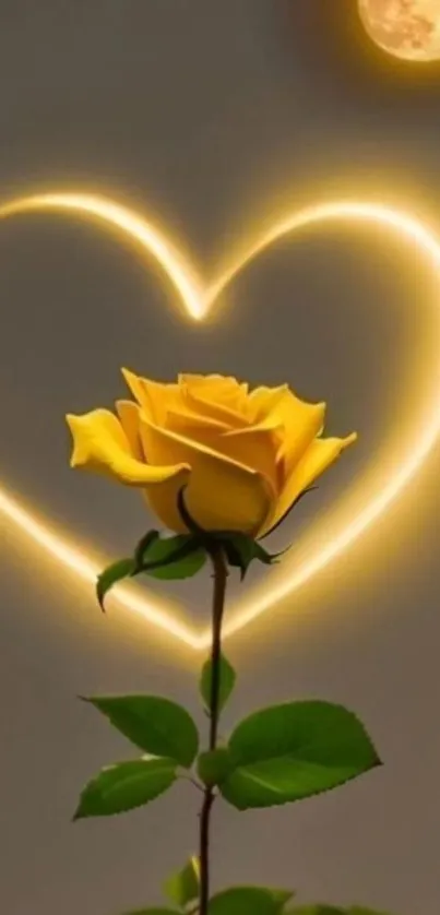 Yellow rose with glowing heart and moonlight.