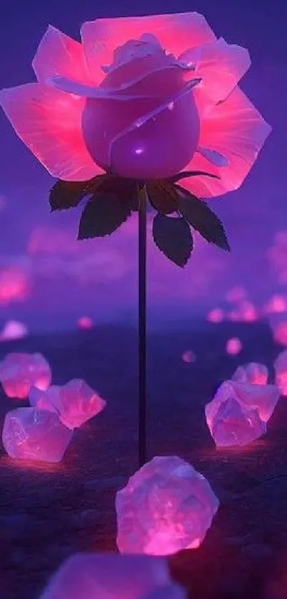 Glowing pink rose amidst neon-lit night.