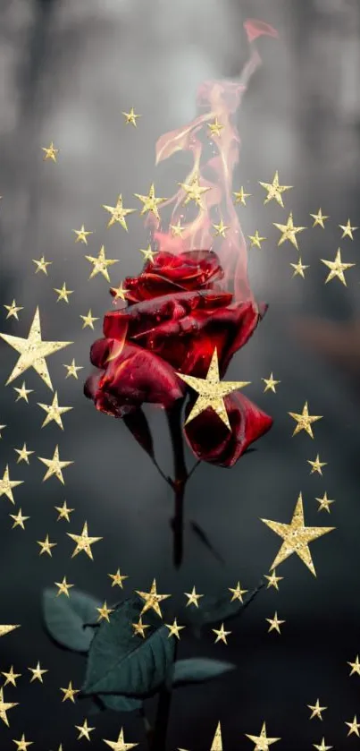 Red rose with golden stars on a mysterious dark background.