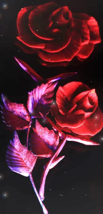 Glowing red roses on a dark background wallpaper.