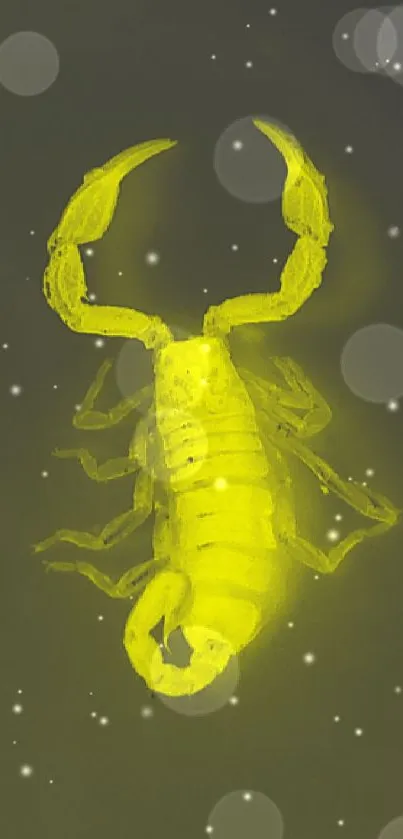 Glowing yellow scorpion on a dark background mobile wallpaper.