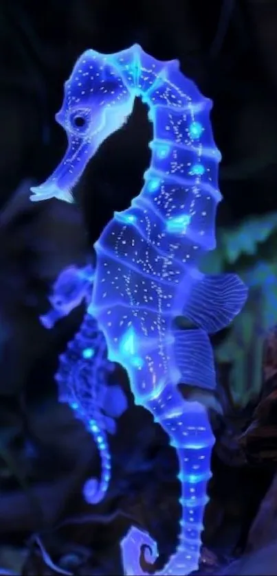Glowing seahorse artwork in vibrant blue tones.