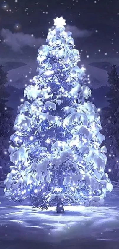 Snowy Christmas tree glowing under the night sky.