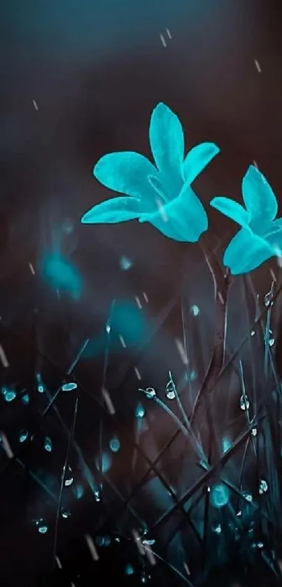 Teal glowing flowers with dark background, creating a serene and captivating phone wallpaper.