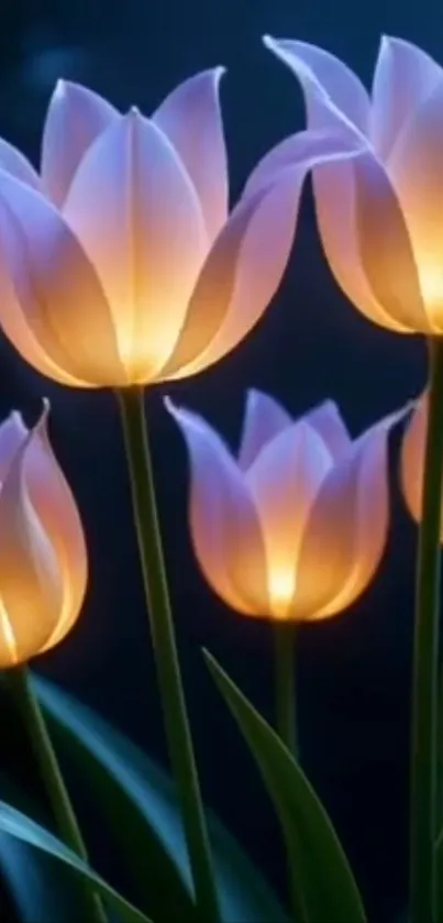 Glowing tulips with a blue night background