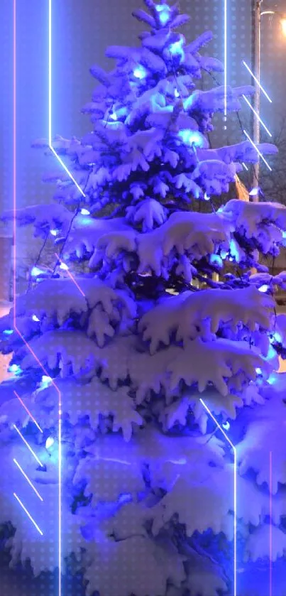 Snowy tree with blue lights in winter night.