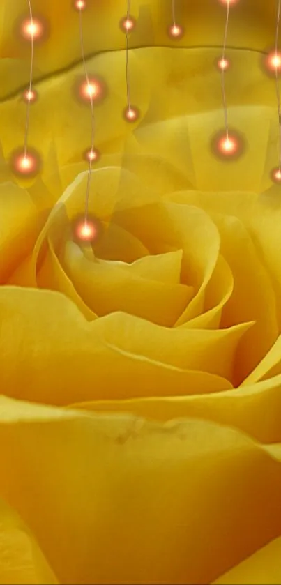 Yellow rose with glowing lights wallpaper.