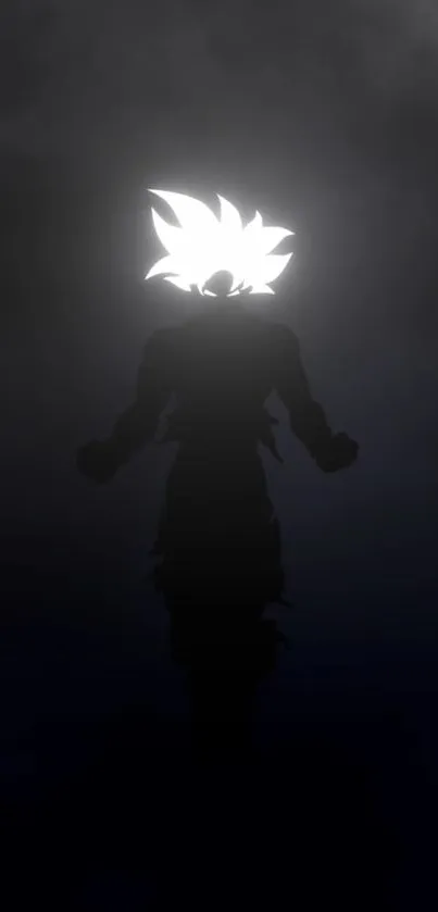 Silhouette of Goku with glowing hair on a dark, atmospheric background.