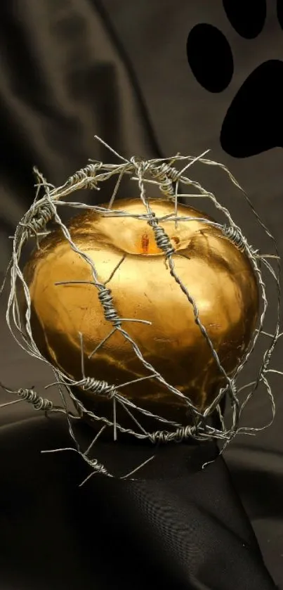 Golden apple with barbed wire on silk.