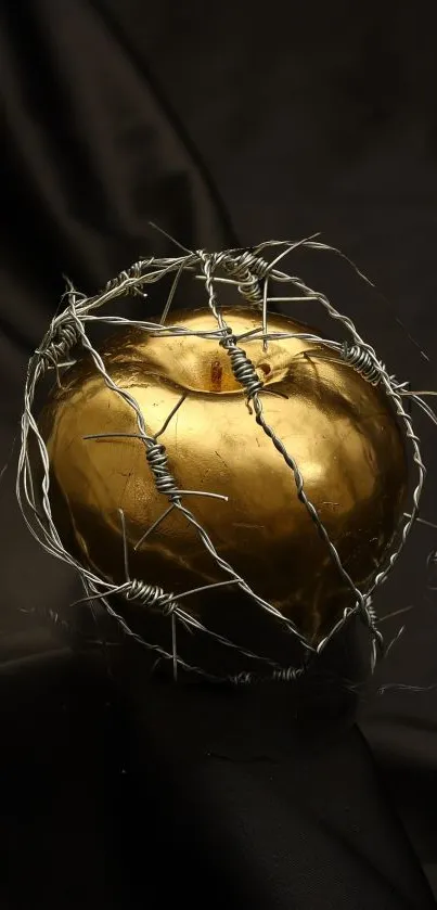 Golden apple wrapped in barbed wire on dark background.