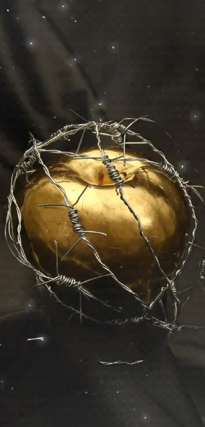 Golden apple wrapped in barbed wire on dark fabric.